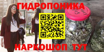 спиды Заводоуковск