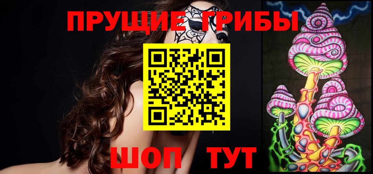Донецк  Псилоцибиновые грибы Psilocybe  Вход с VPN  Псилоцибиновые грибы GOLDEN TEACHER 